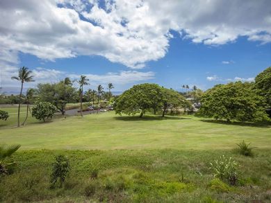 Wailea Condo 878529